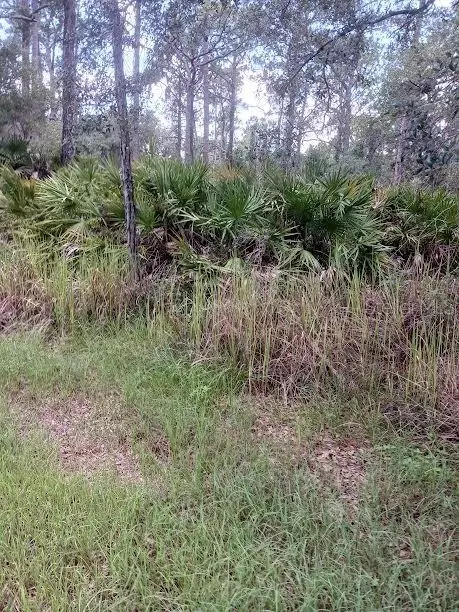 809 Fleetwood St, Lake Placid, FL 33852