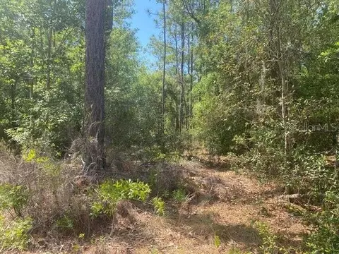 Tbd Grenock Street, Interlachen, FL 32148