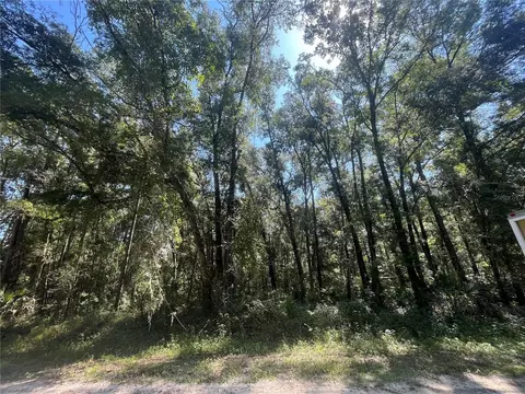 497 Th St, Old Town, FL 32680