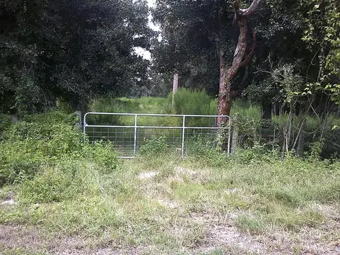 351 NW 98th St, Okeechobee, FL 34972