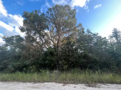 Tbd NE 461 Avenue, Old Town, FL 32680