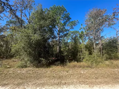 SW 141st Terrace, Ocala, FL 34481