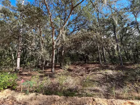 S Cooper Lake Drive, Interlachen, FL 32148