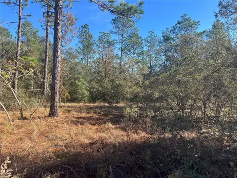 Tbd Admiral Landing, Dunnellon, FL 34431