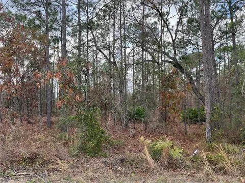 greenback road, Weeki Wachee, FL 34614