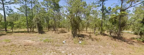 Tbd NW Wateroak Avenue, Dunnellon, FL 34431