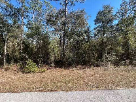 Tbd SW Big Tree Road, Dunnellon, FL 34431