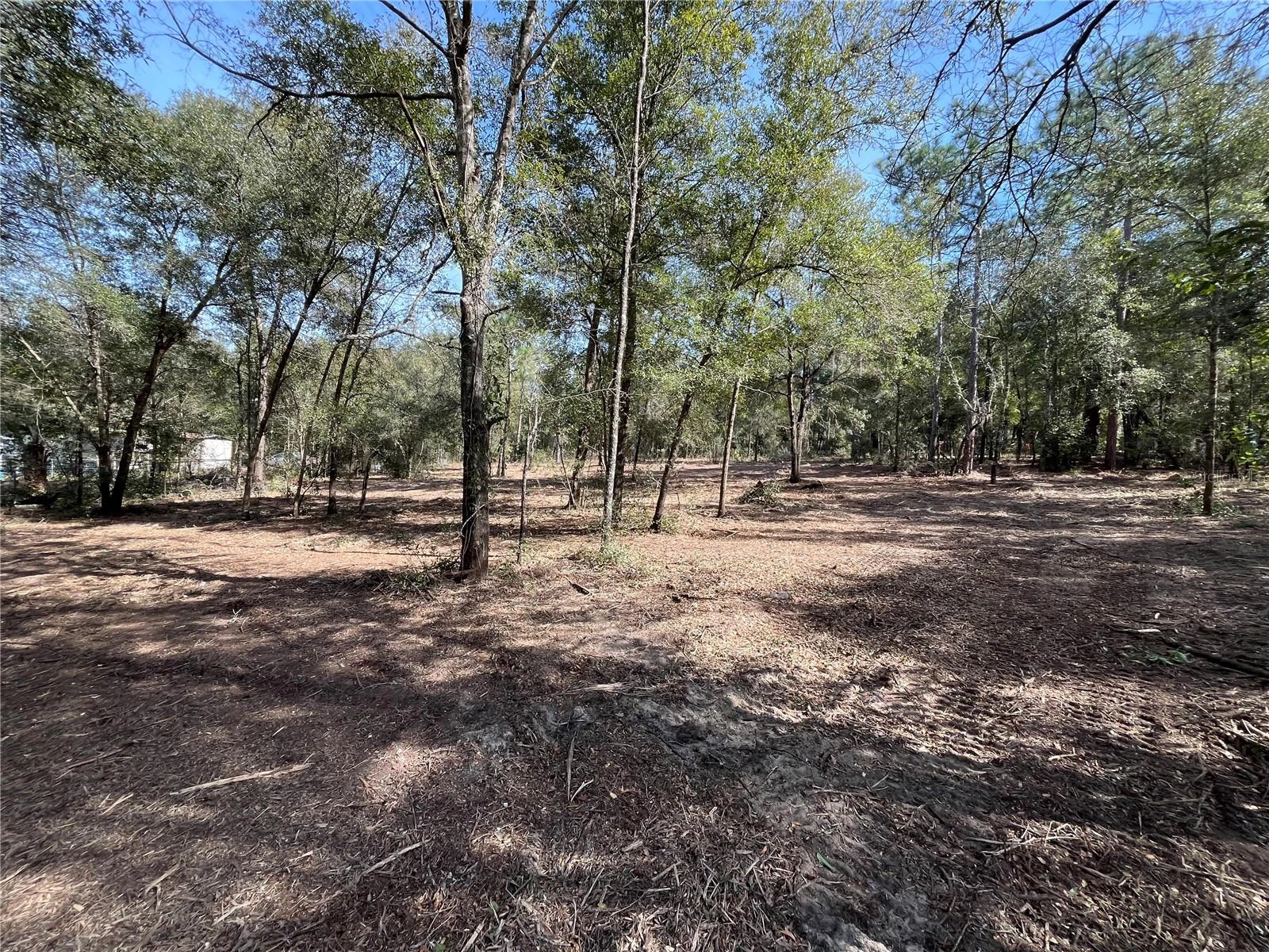 Webster Street, Interlachen, FL 32148 photo 1