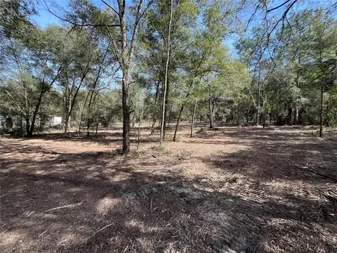 Webster Street, Interlachen, FL 32148