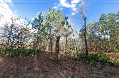 Macassar Road, Weeki Wachee, FL 34614