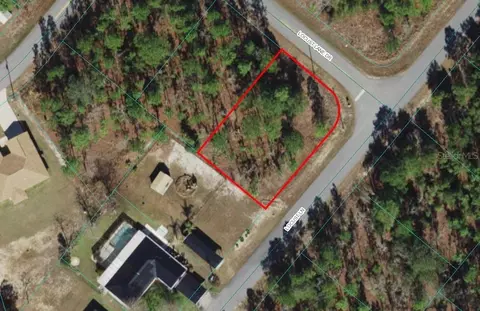 Locust Lane, Ocklawaha, FL 32179