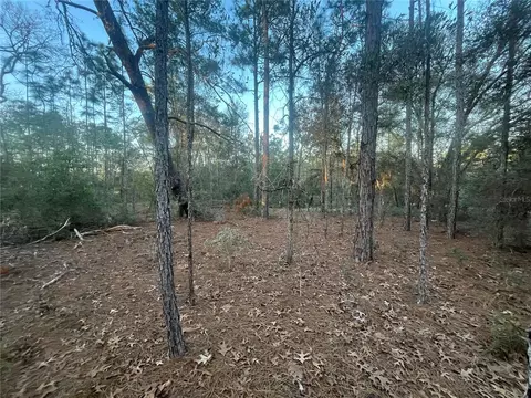Locust Loop, Ocklawaha, FL 32179