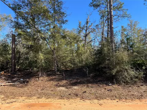 Bienville Court, Alford, FL 32420