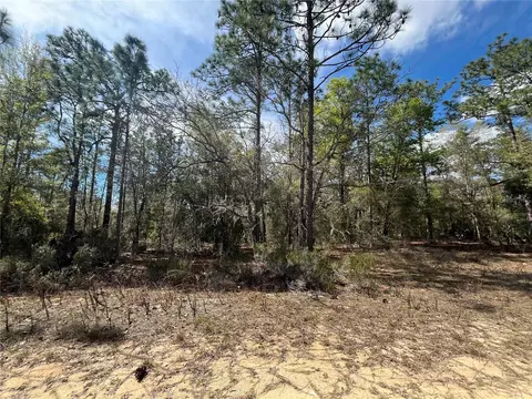 Deland Avenue, Interlachen, FL 32148