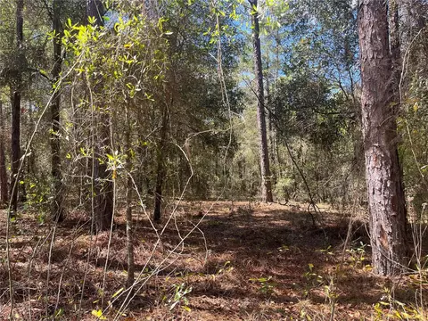 martha drive, Interlachen, FL 32148