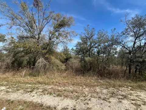 tbd Lakeview Trl, Interlachen, FL 32148