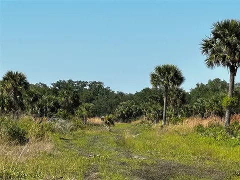 1189 Cabbage Trl, Okeechobee, FL 34974