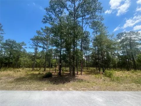 NW Tree Top, Dunnellon, FL 34431