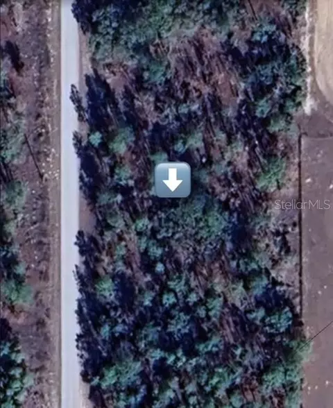 Nw Buena Vista Road, Dunnellon, FL 34431