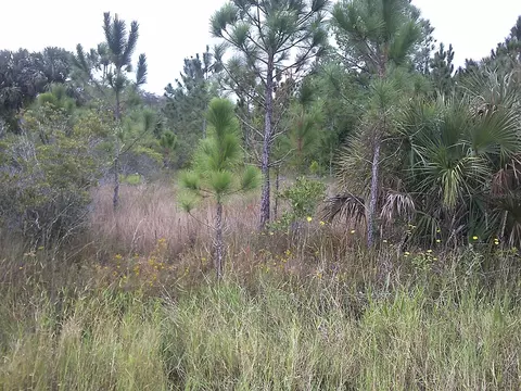 19628 NW 280th St, Okeechobee, FL 34972