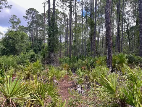 James Street, Hastings, FL 32145
