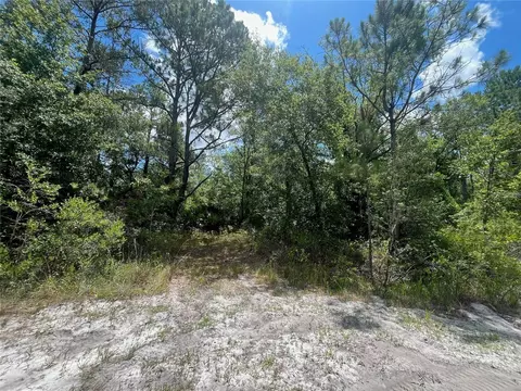 Division Street, Hastings, FL 32145