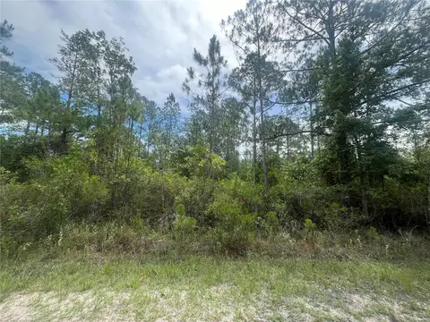 Weatherby, Hastings, FL 32145