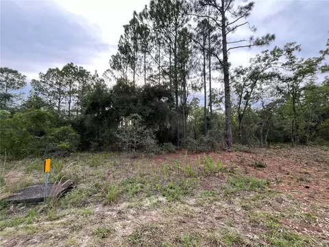 9572 N San Marcos Way, Dunnellon, FL 34433
