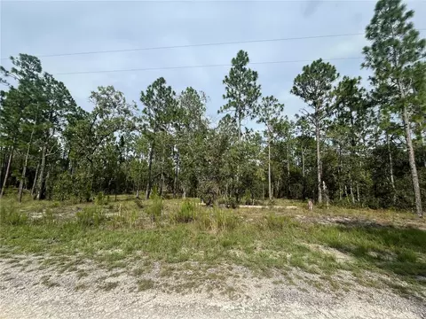 tbd 133rd Ave, Dunnellon, FL 34431