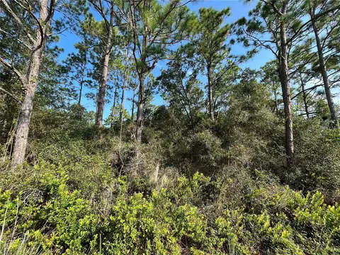 159 Deer Run Rd, Satsuma, FL 32189
