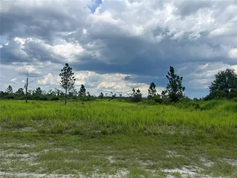 Pinnata Drive, Lake Wales, FL 33898