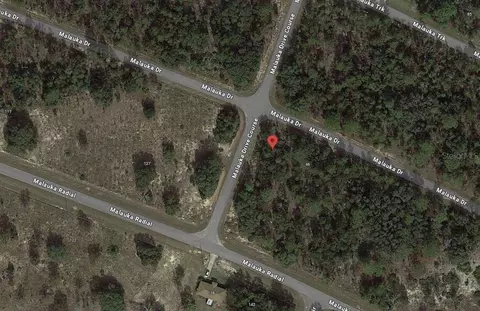 Malauka Drive, Ocklawaha, FL 32179
