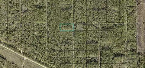 Leroy Avenue, Hastings, FL 32145