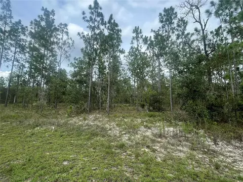 SE 134th Court, Dunnellon, FL 34431