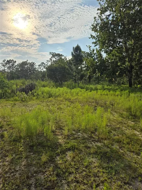 2301 NW 395th Ct NW, Okeechobee, FL 34972 photo 1