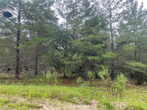 210 Wales St, Interlachen, FL 32148