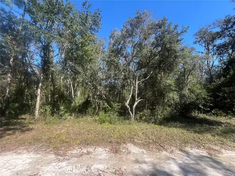 Slingshot Drive, Webster, FL 33597