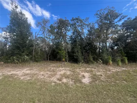 1745 W G Martinelli Blvd, Citrus Springs, FL 34434