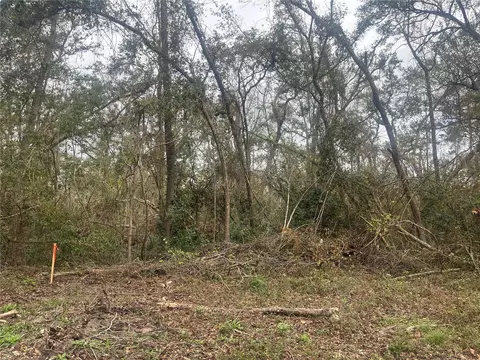 NW Fox Run Trail, Mayo, FL 32066