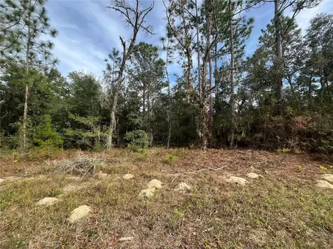 10189 N Jacobson Way, Dunnellon, FL 34434