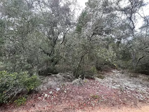 Virginia, Interlachen, FL 32148