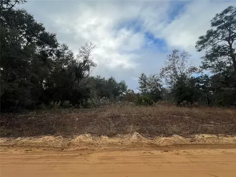 Marion Avenue, Interlachen, FL 32148