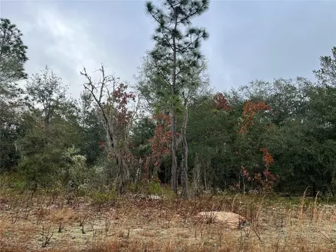 marion avenue, Interlachen, FL 32148