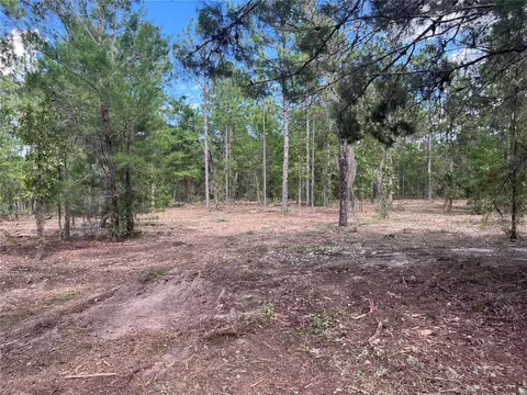 321 Himalayan St, Interlachen, FL 32148