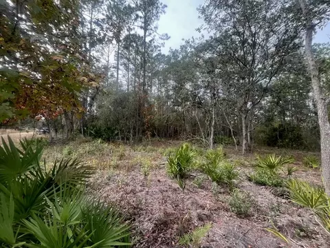 Robin, Interlachen, FL 32148