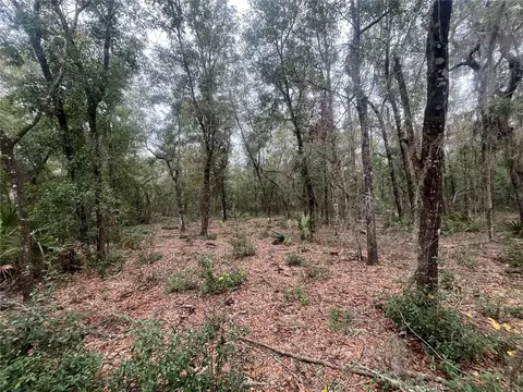 Pat Avenue, Interlachen, FL 32148