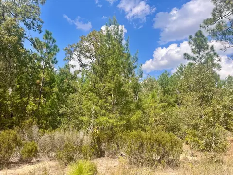 204 Glasgow St, Interlachen, FL 32148