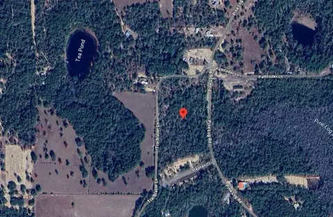 Pine Log Road, Chipley, FL 32428