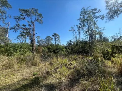 238 Swift Ave, Sebring, FL 33870 photo 1