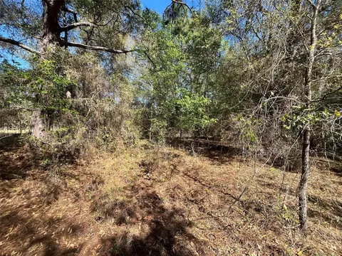 Lily Drive, Interlachen, FL 32148